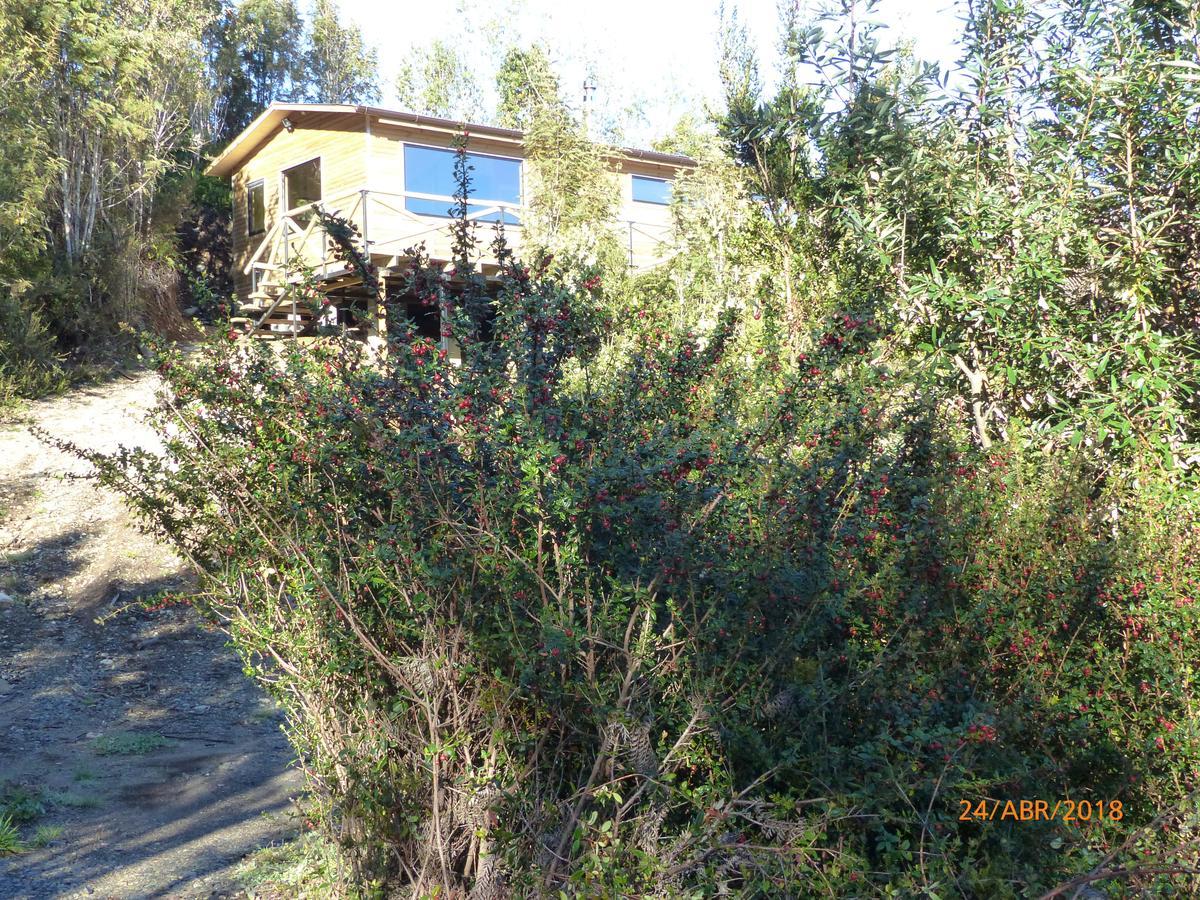 Cabanas Latitud 41 Sur Quillaipe Εξωτερικό φωτογραφία